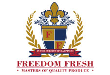 Freedom logo