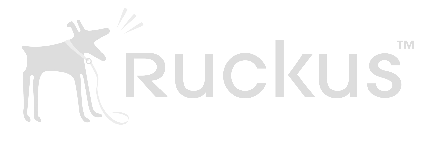 RUCKUS WIRELESS LOGO