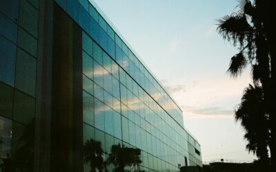Protecting Your Assets: The Essentials of Intrusion Detection Systems