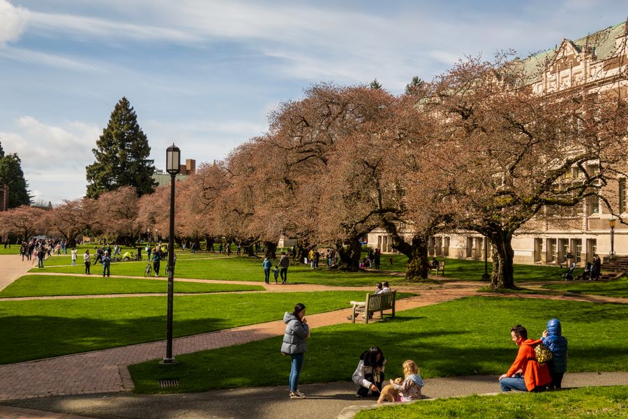 Students and families gather on a spacious green school campus surrounded by mature trees, walkways, and academic buildings.